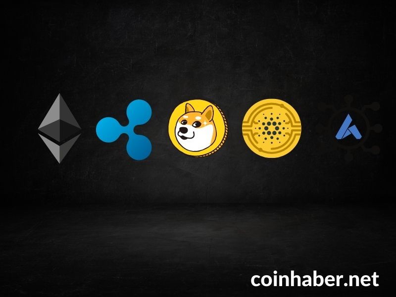altcoin analizi