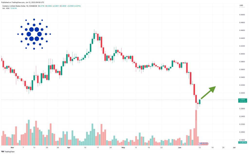 ada coin .jpg