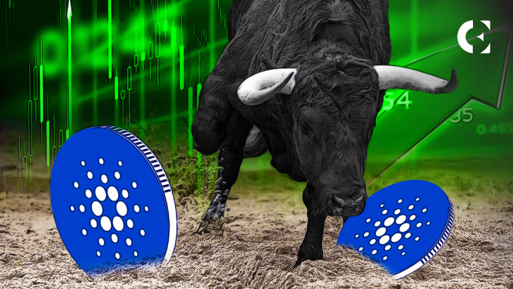 CARDANO 8.jpg