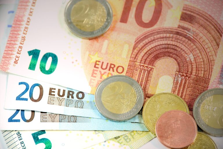 Euro notes and coins 768x512.jpg