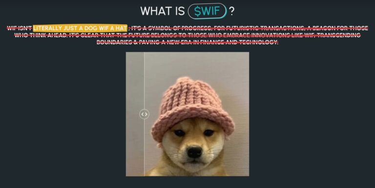 DOG WIF HAT WIF Screenshot 768x386.jpg