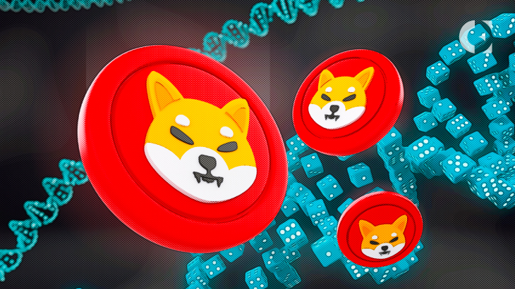 Shiba Inu 3.jpg