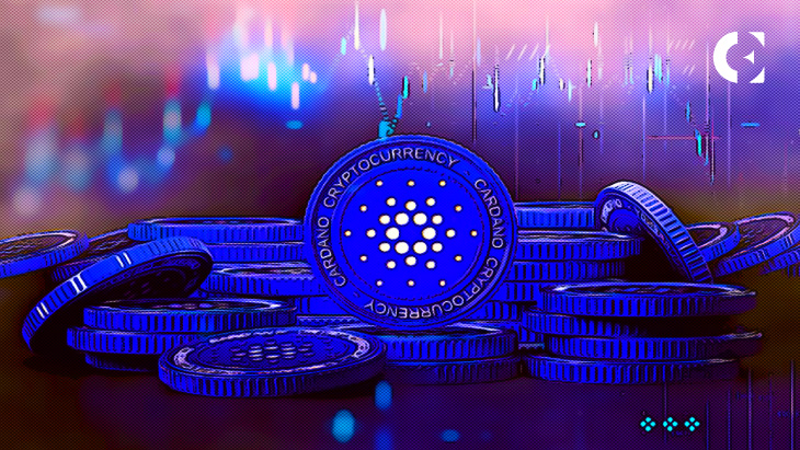 CARDANO 14.jpg