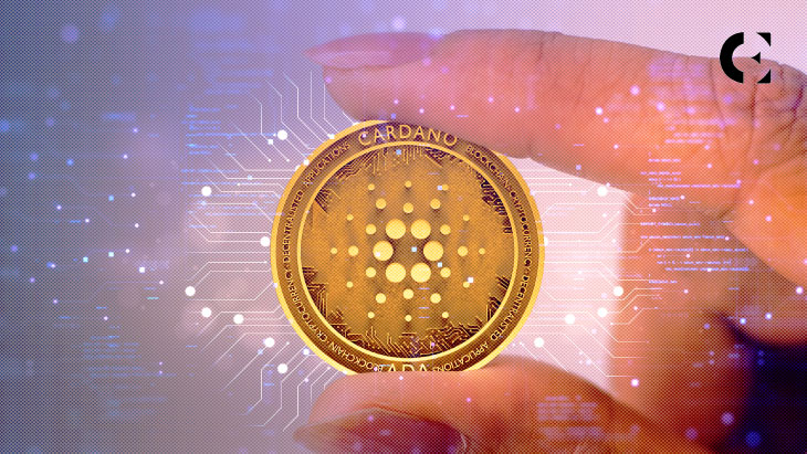 cardano 102.jpg