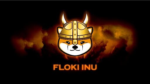 floki inu token.jpg