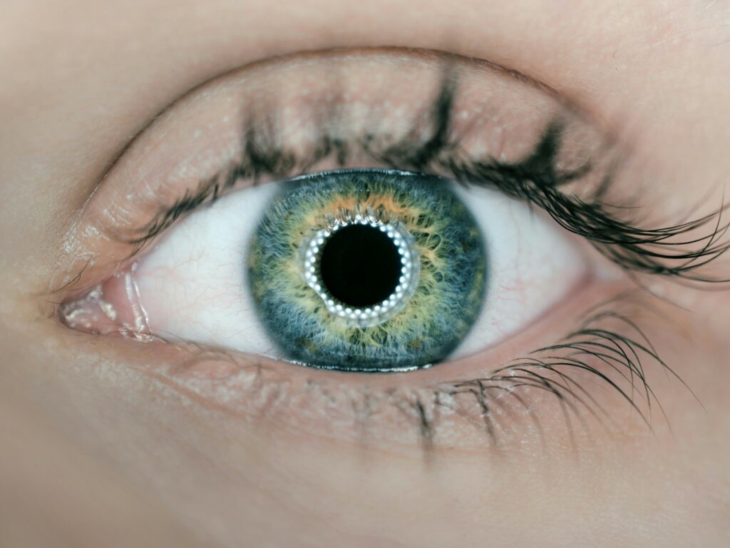 meta fair ai perception artificial intelligence releases robotics computer vision human.jpg