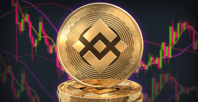 07 BNB 5.png