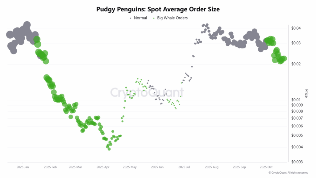 Pengu spot order size.png