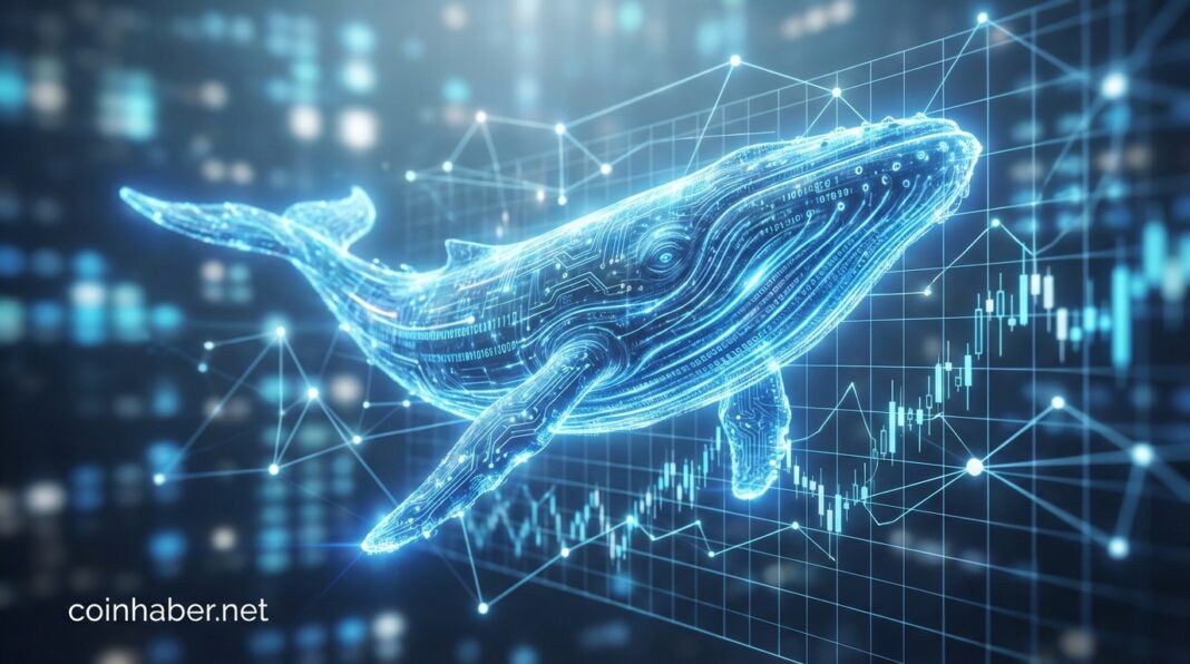 ethereum balina alimlari 2026 analiz.jpg