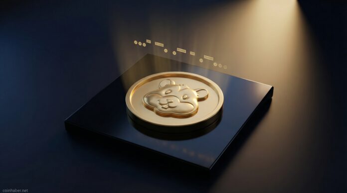 hamster kombat günlük şifre